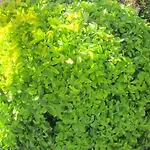 Mit Wasserblick By Interhome Apartamento *