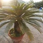 Mit Wasserblick By Interhome * Capoliveri (Isola d'Elba)